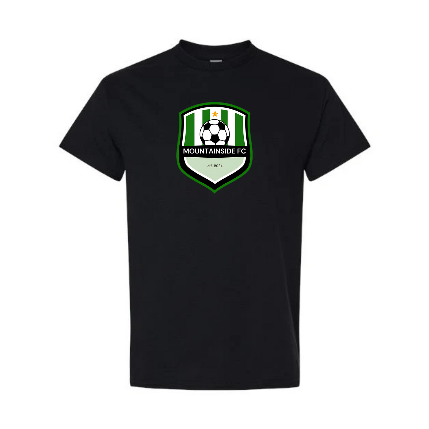 Men's Heavy Cotton™ T-Shirt