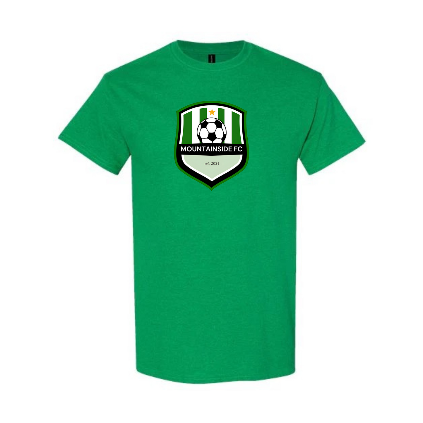 Men's Heavy Cotton™ T-Shirt